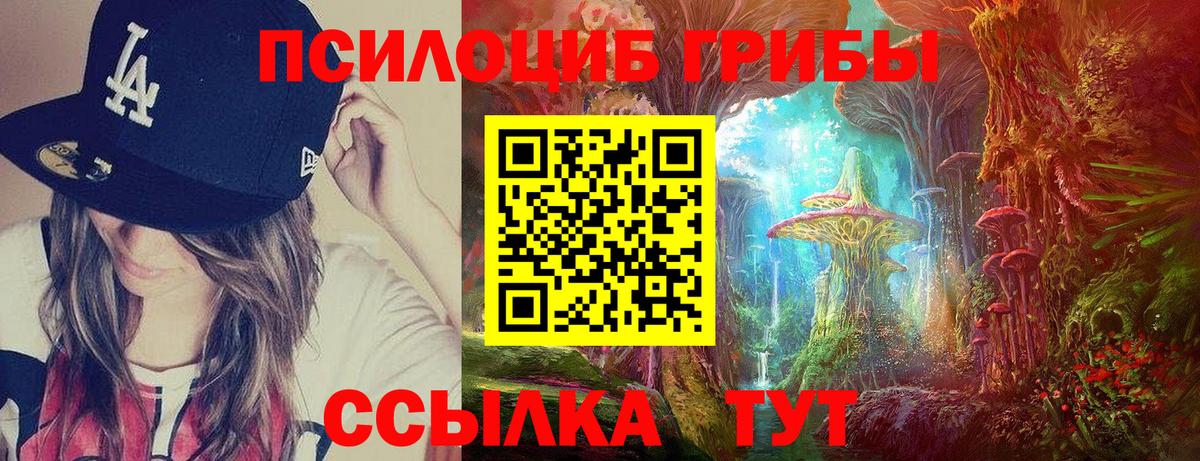 Знаменск  Псилоцибиновые грибы Psilocybine cubensis  Вход с VPN 